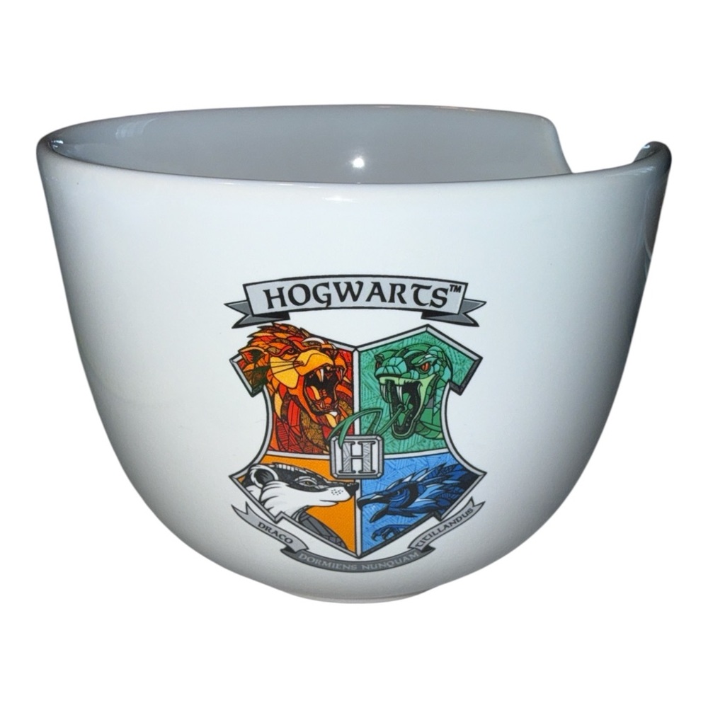 Harry Potter Hogwarts 20 oz ceramic ramen bow EUC